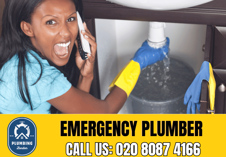 emergency plumber Regents Park