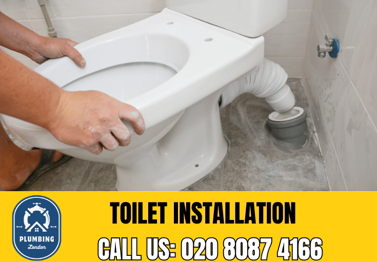 toilet fitters Regents Park